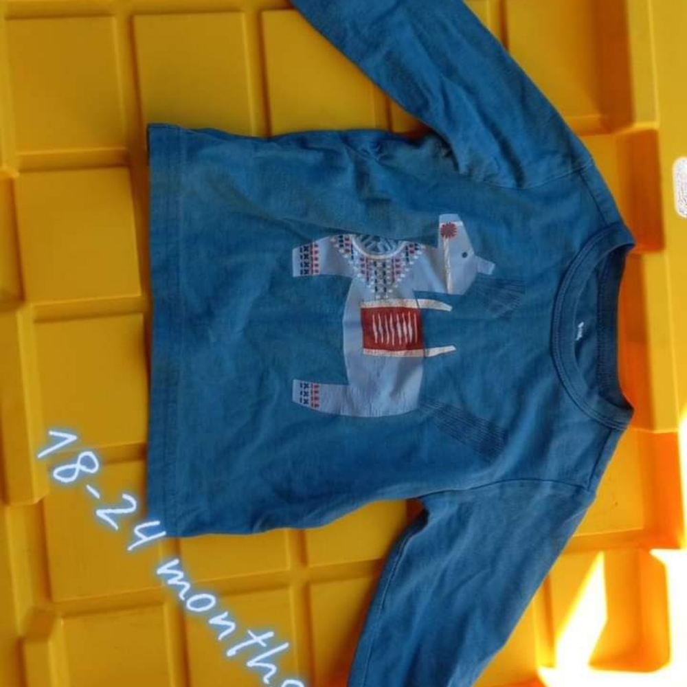 Llama shirt